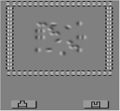 Do monocular myopia children need to wear glasses? Effects of monocular myopia on visual function and binocular balance